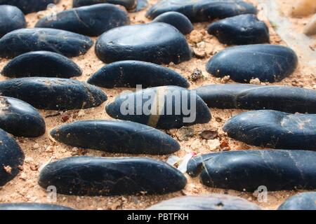 Blu lucido nero pietre di fiume inset in una configurazione a mosaico su una passerella Foto Stock