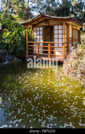 Giapponese giardino Zen presso il giardino botanico, il Molino de Inca, Torremolinos, Andalusia, Spagna. Foto Stock