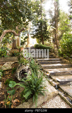 Giardino botanico,scala di pietra, percorso lussureggiante, Molino de Inca, Torremolinos, Andalusia, Spagna. Foto Stock