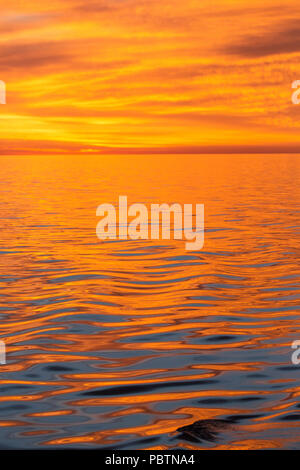Bel tramonto luce riflessa su un oceano di calma vicino a Isla San Marcos, Baja California Sur, Messico. Foto Stock