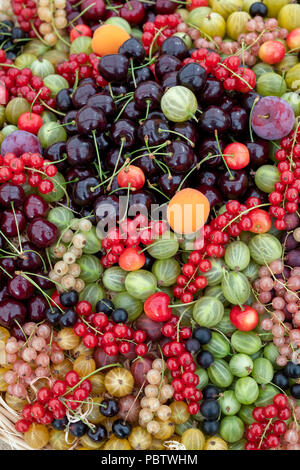 Selezione di frutta in un cestino sul display a RHS Tatton Park flower show 2018, Cheshire. Regno Unito Foto Stock