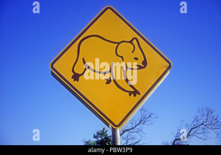 UN SEGNALE DI ALLARME STRADALE CON UN KOALA AVVISA I CONDUCENTI CHE I KOALA ATTRAVERSANO QUESTO TRATTO DI STRADA E CHE DEVONO STARE ATTENTI E RALLENTARE, NEL NUOVO GALLES DEL SUD, AUSTRALIA Foto Stock