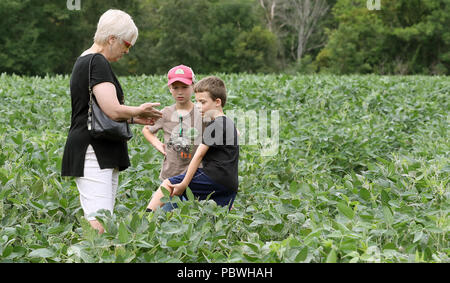 Davenport, Iowa, USA. 29 Luglio, 2018. A nove anni Isaac Ewoldt, centro parla di cose da cercare nel campo di soia di Henry Marciniak di Kansas City e la nonna Marlyn Buel di Bettendorf durante la fattoria aperta giorno al Robb e Jen Ewoldt fattoria situata ad ovest di Davenport, Iowa, domenica 29 luglio, 2018. Centinaia di residenti di zona hanno visitato la fattoria, got close-up con gli animali della fattoria e ha preso hayrack giostre. Credito: Kevin E. Schmidt/Quad-City volte/ZUMA filo/Alamy Live News Foto Stock