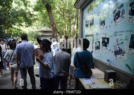 Hangzhou, Hangzhou, Cina. 31 Luglio, 2018. Hangzhou, Cina-personale e visitatori celebrare il quarto compleanno di due Panda e Chengjiu Shuanghao a Hangzhou Zoo in Hangzhou, est della Cina di Provincia dello Zhejiang. Credito: SIPA Asia/ZUMA filo/Alamy Live News Foto Stock