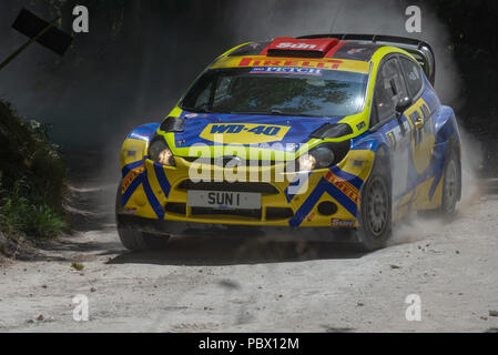 Ford Fiesta WRC World Rally Car sponsorizzato da Sun e WD40 nella foresta rally stadi a Goodwood Festival della velocità 2018 Foto Stock