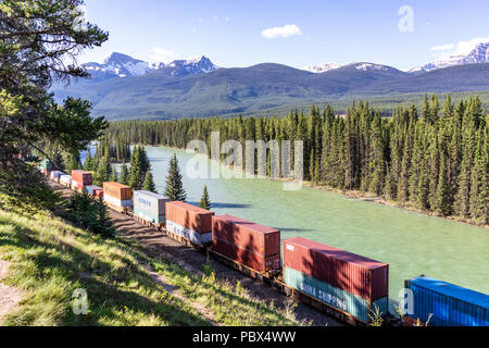 Un treno merci della Canadian Pacific Railway acceso accanto al Fiume Bow e Montagne Rocciose presso il Castello Junction NW di Banff, Alberta, Canada Foto Stock