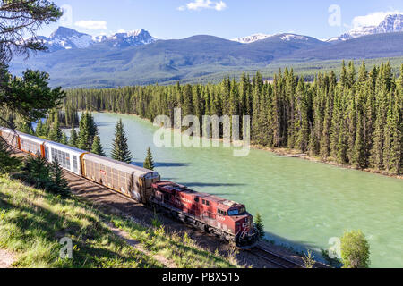 Un treno merci della Canadian Pacific Railway acceso accanto al Fiume Bow e Montagne Rocciose presso il Castello Junction NW di Banff, Alberta, Canada Foto Stock