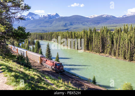 Un treno merci della Canadian Pacific Railway acceso accanto al Fiume Bow e Montagne Rocciose presso il Castello Junction NW di Banff, Alberta, Canada Foto Stock