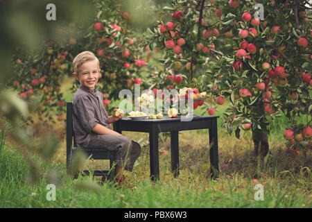 Poco, cinque anni, ragazzo aiutando con la raccolta e la raccolta di mele dal melo, tempo d'autunno. Bambino la raccolta di mele sulla fattoria in autunno. Foto Stock