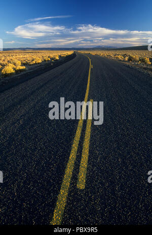 Diamante nazionale Loop Back Country Byway, Harney County, Oregon Foto Stock