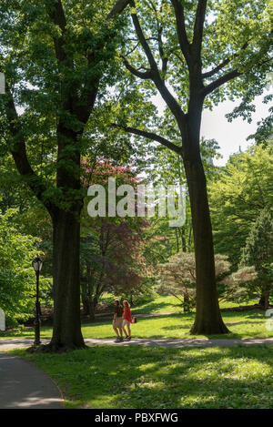 Central Park, Manhattan, New York STATI UNITI D'AMERICA, Summertimes e un paio di fare una passeggiata nel famoso parco. Foto Stock