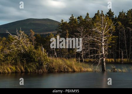 Loch Mallachie, Cairngorms National Park, Scozia Foto Stock