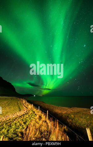 Luci del nord, Aurora Boreale, Hali, Islanda, Europa Foto Stock