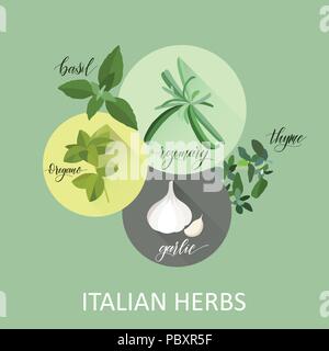 Italian herbes. Scritto a mano i nomi. Aromatiche erbe di cottura Illustrazione Vettoriale