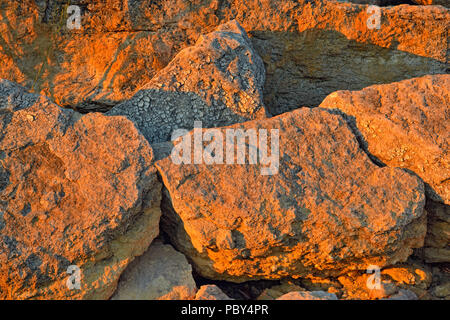 Esposti rocce calcaree con hardy comunità vegetali lungo la riva del Lago Travis, Austin, Texas, Stati Uniti d'America Foto Stock