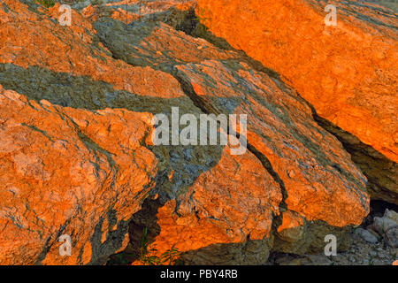 Esposti rocce calcaree con hardy comunità vegetali lungo la riva del Lago Travis, Austin, Texas, Stati Uniti d'America Foto Stock