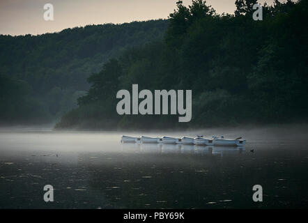 Barche a remi su un lago con nebbia nella luce della sera Foto Stock