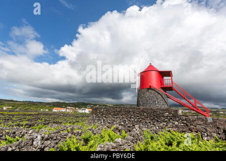 Un tradizionale mulino a vento lungo la costa del Monte, nel territorio del comune di Madalena, con righe hedge dividendo i vigneti in Pico island, Azzorre Foto Stock