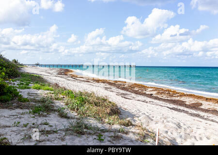 Juno Beach Molo Jetty di Jupiter, Florida, giornata di sole, l'acqua turchese, sabbia, nessuno, alghe, cielo nuvoloso, Oceano Atlantico Foto Stock