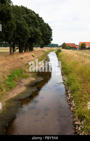 Extreme bassa marea del fiume Issel vicino a Wesel, Luglio 28th. 2018, Germania. estremi Niedrigwasser der Issel bei Wesel am 28.07.2018, Deutschland. Foto Stock