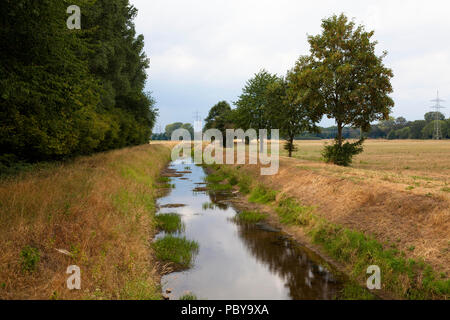 Extreme bassa marea del fiume Issel vicino a Wesel, Luglio 28th. 2018, Germania. estremi Niedrigwasser der Issel bei Wesel am 28.07.2018, Deutschland. Foto Stock