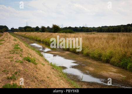 Extreme bassa marea del fiume Issel vicino a Wesel, Luglio 28th. 2018, Germania. estremi Niedrigwasser der Issel bei Wesel am 28.07.2018, Deutschland. Foto Stock