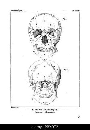 190 Encyclopédie méthodique - Systeme Anatomique, PL18 Foto Stock