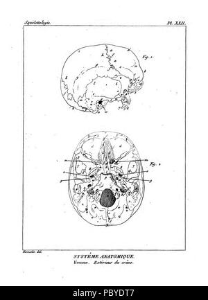 190 Encyclopédie méthodique - Systeme Anatomique, PL22 Foto Stock