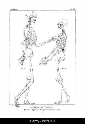 190 Encyclopédie méthodique - Systeme Anatomique, PL7 Foto Stock