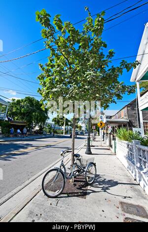 Un triciclo per adulti è parcheggiato su una strada alberata a Key West Florida Foto Stock