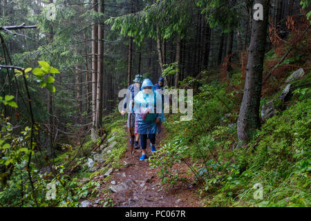 Gruppo di anziani Turisti escursioni nella foresta di pioggia Foto Stock