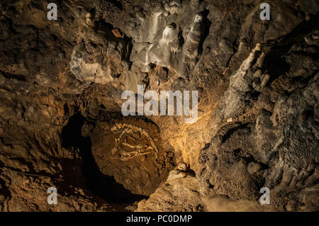Croazia: i resti di un orso, ex abitante, nelle grotte di Barać (Baraćeve špilje), documentata per la prima volta nel 1699, nei pressi del villaggio di Nova Kršlja Foto Stock