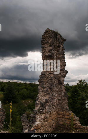 Croazia: nuvoloso e maltempo con fiori di colore giallo e le rovine del castello della città vecchia di Drežnik, villaggio nella zona dei laghi di Pliitvice Foto Stock