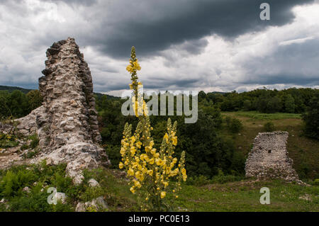 Croazia: nuvoloso e maltempo con fiori di colore giallo e le rovine del castello della città vecchia di Drežnik, villaggio nella zona dei laghi di Pliitvice Foto Stock