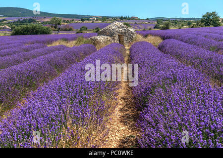 Ferrassieres, Drome, Provenza, Francia Foto Stock