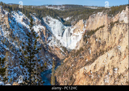 Inferiore cade di Yellowstone e Grand Canyon di Yellowstone sul fiume Yellowstone nel Parco Nazionale di Yellowstone in Wyoming Foto Stock