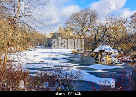 Paesaggio invernale nel Central Park di New York City con ghiaccio e neve, STATI UNITI D'AMERICA Foto Stock