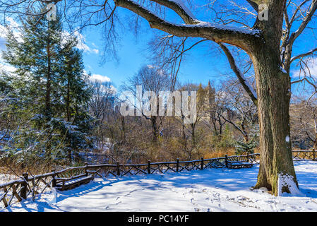 Paesaggio invernale nel Central Park di New York City con ghiaccio e neve, STATI UNITI D'AMERICA Foto Stock