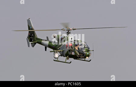 Esercito britannico Gazelle AH1 di 655 Squadrone Foto Stock