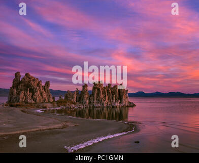 Dawn, Torri di tufo, Mono Basin National Forest Scenic Area, Inyo National Forest, California Foto Stock