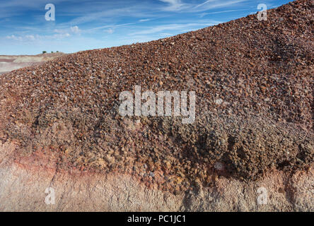 Roccia Conglomerato Formazione, Foresta Pietrificata NP, AZ Foto Stock