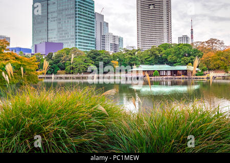 Hamarikyu (anche Hama Rikyu) più antico giardino giapponesi e i moderni grattacieli della zona di Shiodome, Chuo Ward, Tokyo, Regione di Kanto, isola di Honshu, Giappone Foto Stock