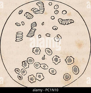 'L'American medico di famiglia : o, domestici guida per la salute : per l'uso dei medici, le famiglie, le piantagioni, navi, viaggiatori, ecc." (1858) Foto Stock