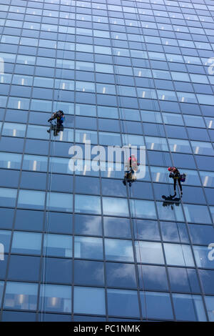 La finestra commerciale le rondelle rappel verso il basso il lato di un edificio durante la pulizia in centro a Calgary, Alberta, Canada. Foto Stock