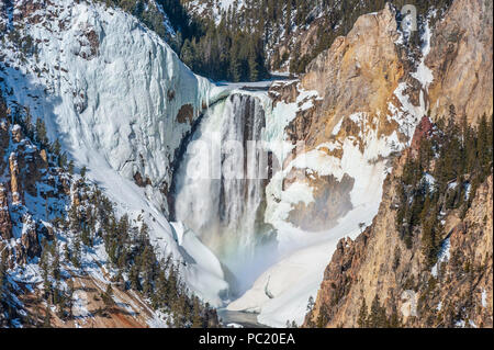 Inferiore cade di Yellowstone e Grand Canyon di Yellowstone sul fiume Yellowstone nel Parco Nazionale di Yellowstone in Wyoming Foto Stock