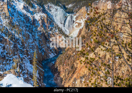 Inferiore cade di Yellowstone e Grand Canyon di Yellowstone sul fiume Yellowstone nel Parco Nazionale di Yellowstone in Wyoming Foto Stock