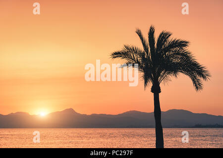 Sagome di alberi di palma contro il cielo colorato al tramonto. Paesaggio tropicale con palme sulla spiaggia di sabbia, mare e sole in oro in serata in summe Foto Stock