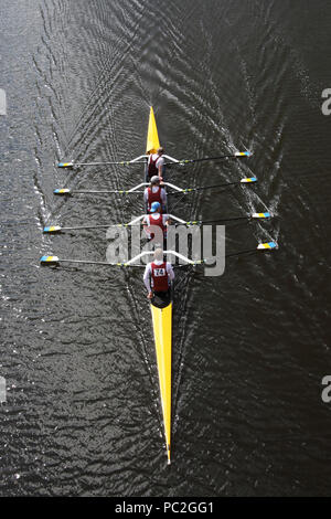 Tees Rowing Club, coxless quad, a Warrington Rowing Club 2018 Estate regata, Howley lane, Mersey River, Cheshire, North West England, Regno Unito Foto Stock