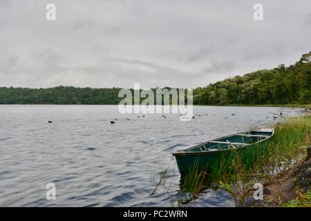 Un piccolo gommone in alluminio su un lago, lago cratere Barrine Lakes National Park, altopiano di Atherton, QLD, Australia Foto Stock