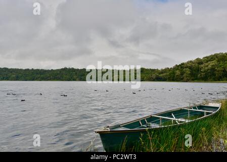 Un piccolo gommone in alluminio su un lago, lago cratere Barrine Lakes National Park, altopiano di Atherton, QLD, Australia Foto Stock